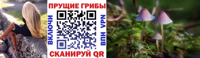 Псилоцибиновые грибы ЛСД  хочу наркоту  Кизилюрт 